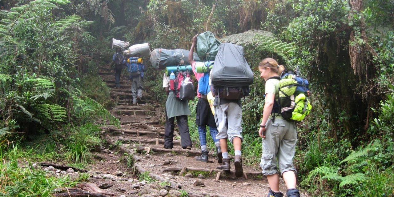 7 Days Climb Kilimanjaro Western Breach Umbwe Route