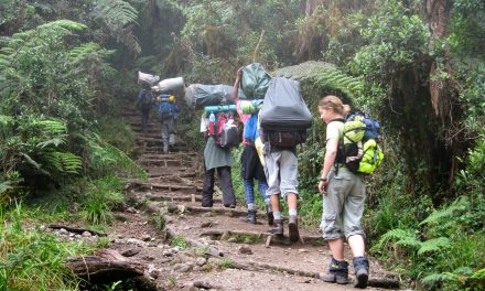 7 Days Climb Kilimanjaro Western Breach Umbwe Route