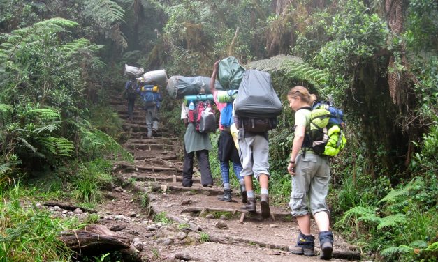 7 Days Climb Kilimanjaro Western Breach Umbwe Route