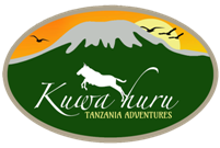 Welcome to Kuwa Huru Tanzania Adventure Official Website