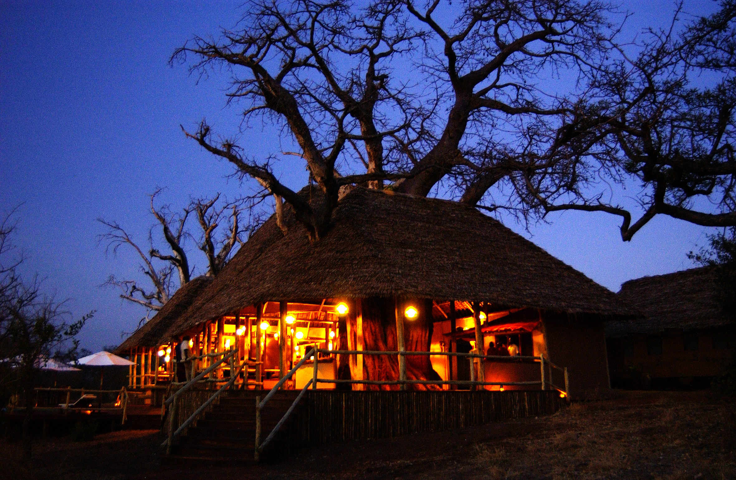 Treetop Tented Camp Tarangire1
