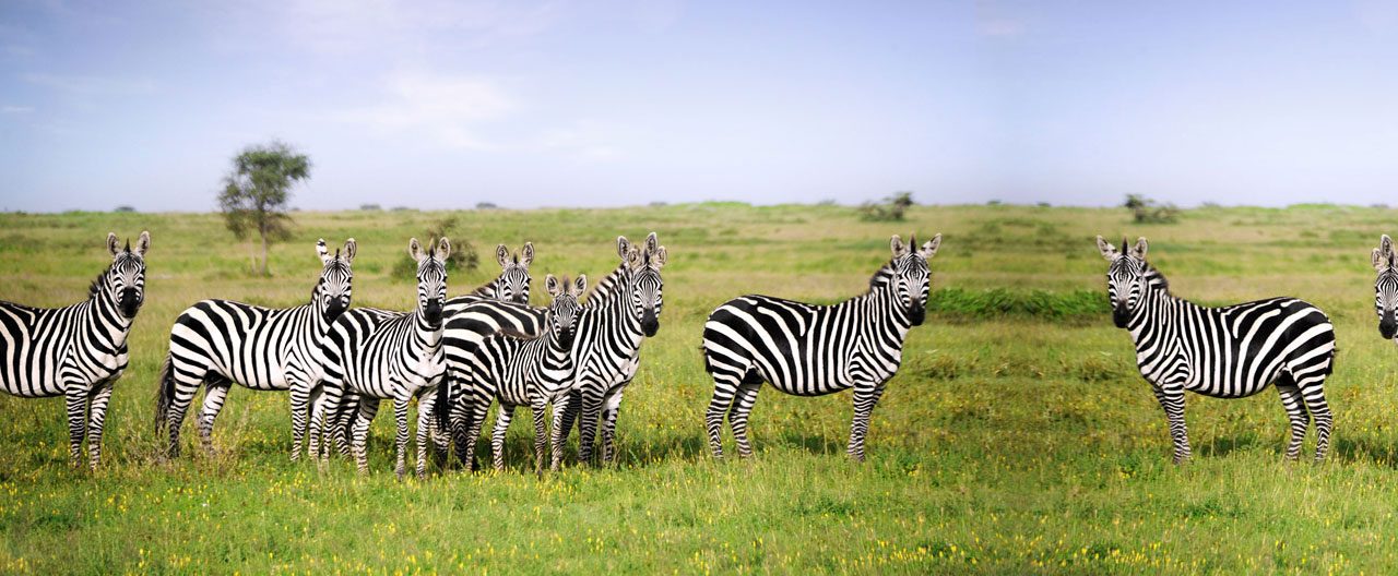 Katavi National Park