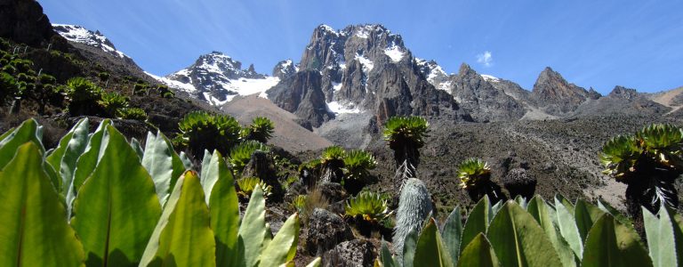 8 Day Mount Kenya Climb – Sirimon Naro Moru Route