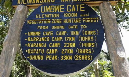 The Umbwe Route