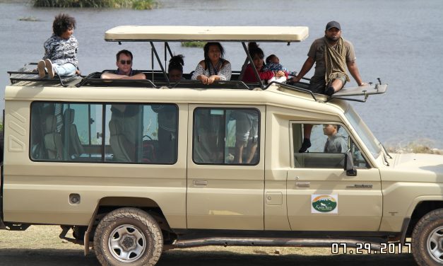 Safari Vehicles
