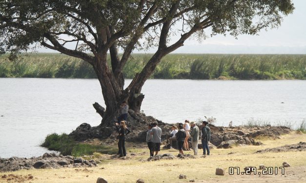 3 Days Safari Serengeti and Ngorongoro