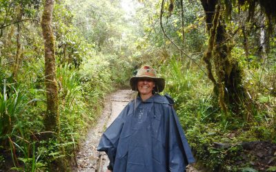 6 Days Kilimanjaro – 3 Days Zanzibar