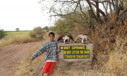 Tanzania Budget Safari Tarangire 4 Days/3 Nights