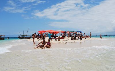 Africa Safari Tours