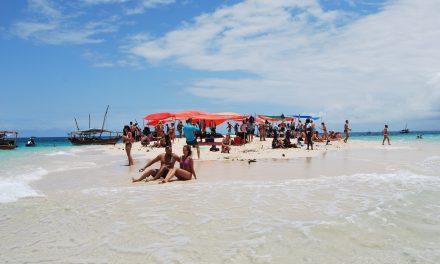 Africa Safari Tours