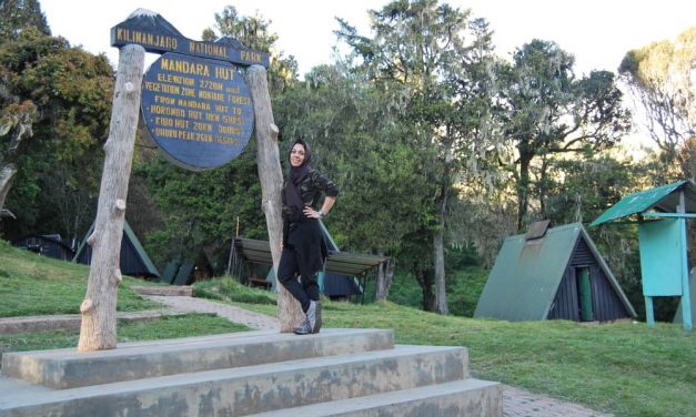 5 Days Climb Kilimanjaro