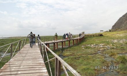 Lake Manyara National Park