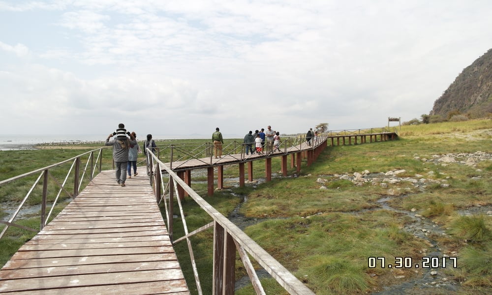 Lake Manyara National Park