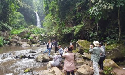 Gombe National Park