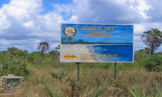 SAADANI NATIONAL PARK