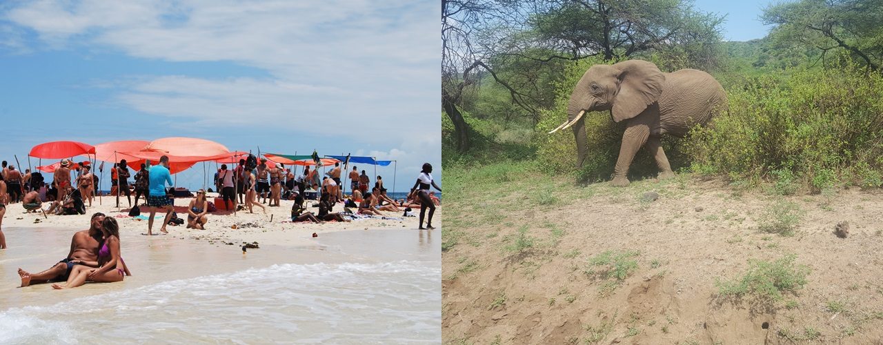 3 Days Safari and 3 Days Zanzibar