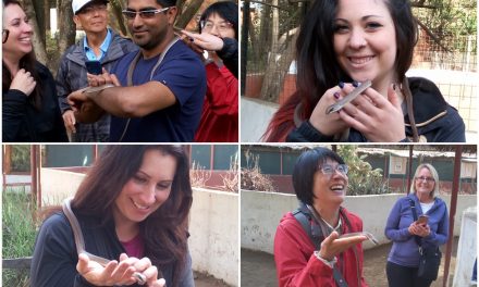Day Trip To Meserani Snake Park