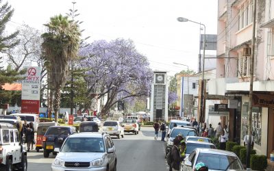 Day trip Arusha City Tanzania