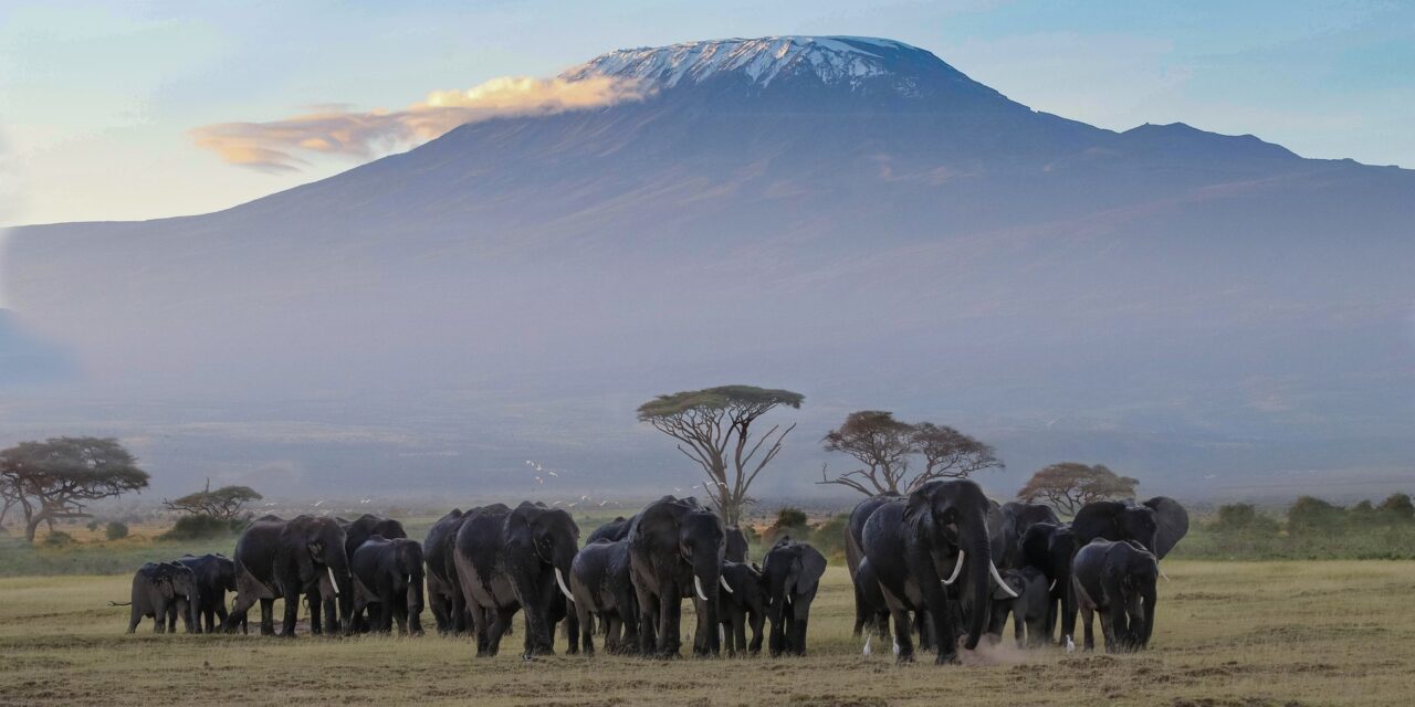 Mount Kilimanjaro National Park