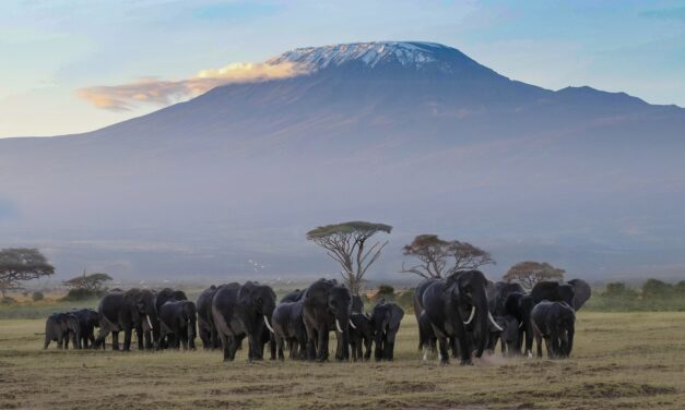 Mount Kilimanjaro National Park