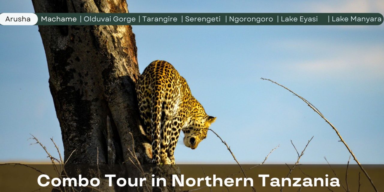 15 Day Combo Tour in Northern Tanzania