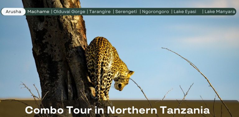 The Combo Tour Banner to Northern Tanzania