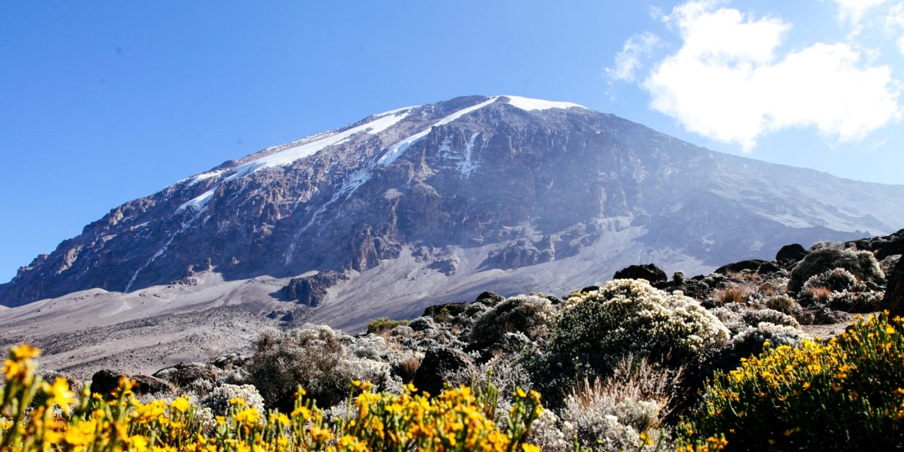 5 Days Climb Kilimanjaro – Marangu Route