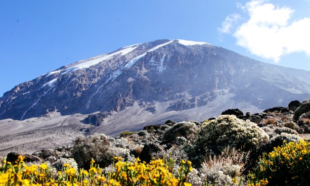 5 Days Climb Kilimanjaro – Marangu Route
