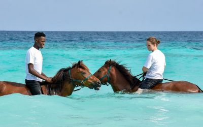 Zanzibar Horse Riding