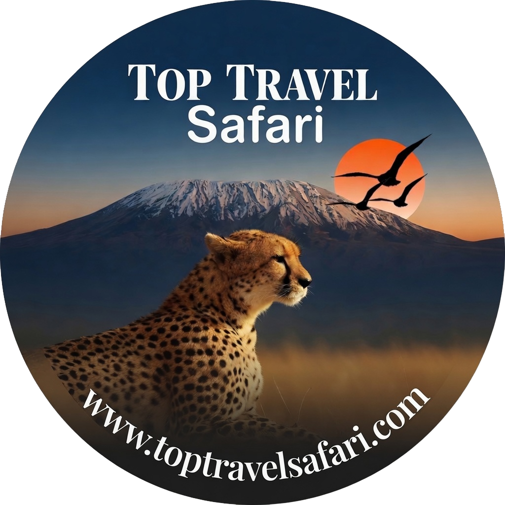Welcome to Top Travel Safaris Official Website